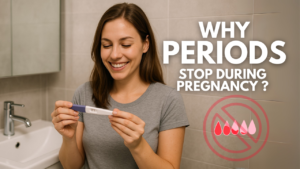 Why Menstruation Stops During Pregnancy
